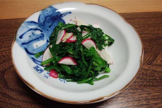 サンプル